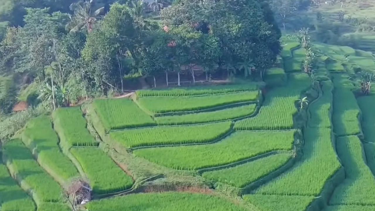 Sawah Cisema Banjaran Wetan