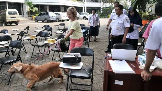 Deteksi Penularan Rabies, Dinas KPKP DKI Pasang Microchip Pada Anjing