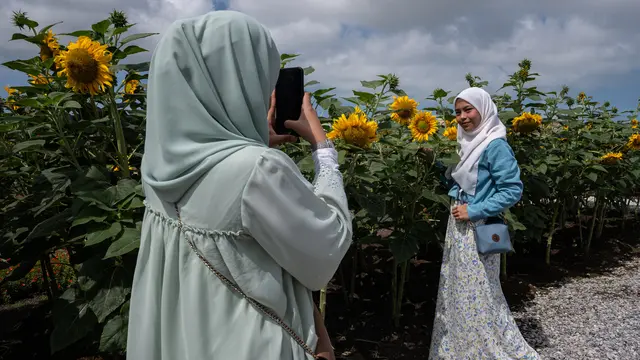 Mengunjungi Taman Bunga Matahari di Bagan Datuk Malaysia