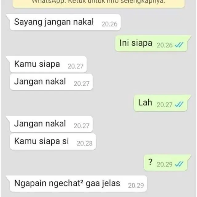 6 Chat 'Sayang Jangan Nakal' Ini Malah Bikin Jomblo Ngakak