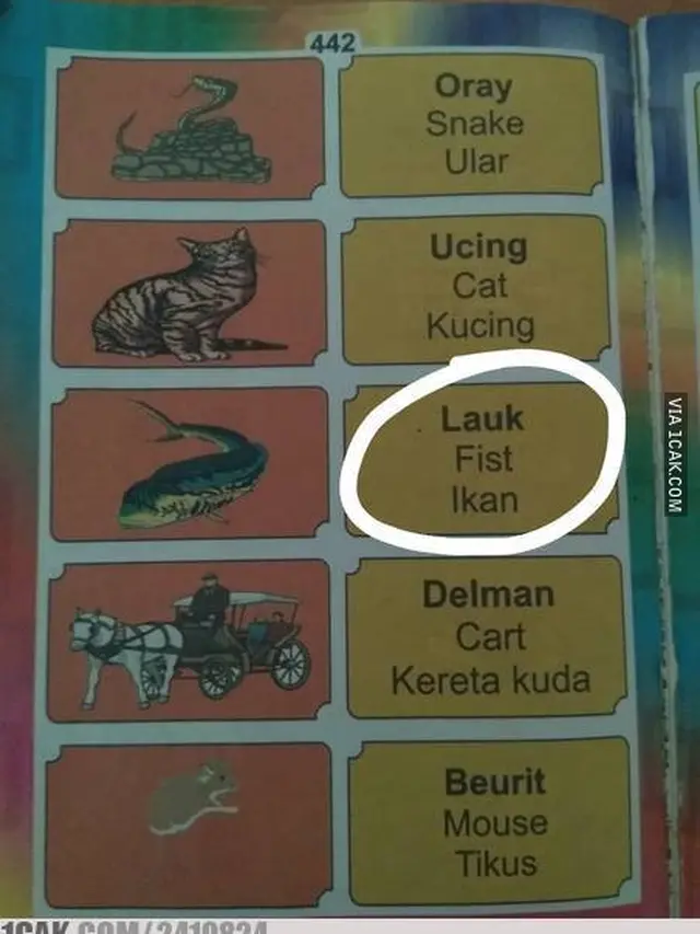 kesalahan di buku bahasa Inggris