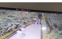 3 WNA Jadi Korban Pohon Tumbang di Monkey Forest Bali, Akibat Angin Kencang dan Turun Hujan