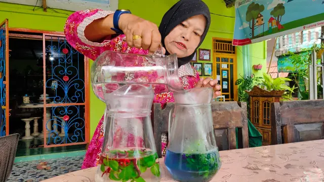 Dari Tanaman Obat Keluarga, Teh Herbal Warga Palembang Jadi Suvenir G20