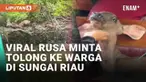 Momen langka terekam kamera warga yang melintas di sungai daerah Indragiri Hilir, Riau. Warga mendapati seekor rusa dikejar dua anjing liar yang diduga hendak memangsa. Rusa tersebut berlari dan berenang ke perahu warga seolah meminta pertolongan.