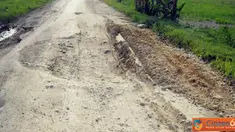 Citizen6, Tuban: Masyarakat Kabupaten Tuban Jawa Timur berharap pemerintah kota segera memperbaiki jalan tersebut. (Pengirim: Wietha Djenar)