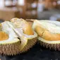 Ilustrasi buah durian (foto: Unsplash/Jimteo)