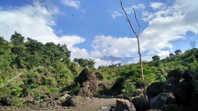 Hutan Desa Setianegara - Setelah Lawu Dan Sindoro Sumbing ...