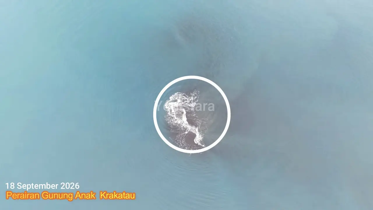 Daratan Baru Seluas 30,3 Hektare Muncul di GAK, Benarkah Cikal Bakal 'Cucu' Krakatau?