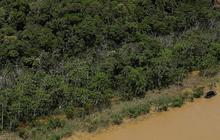 10.000 Situs Arkeologi Masih Tersembunyi di Hutan Amazon, Ada Benteng Sampai Desa Kuno