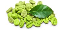 Langsing dengan Minum Green Coffee