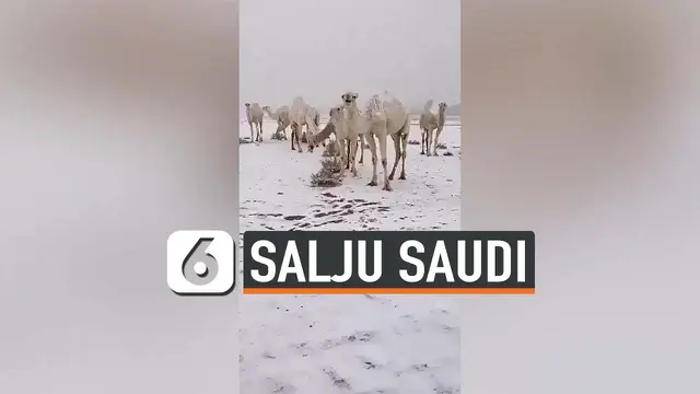 VIDEO: Viral, Hujan Salju Turun Lagi di Arab Saudi