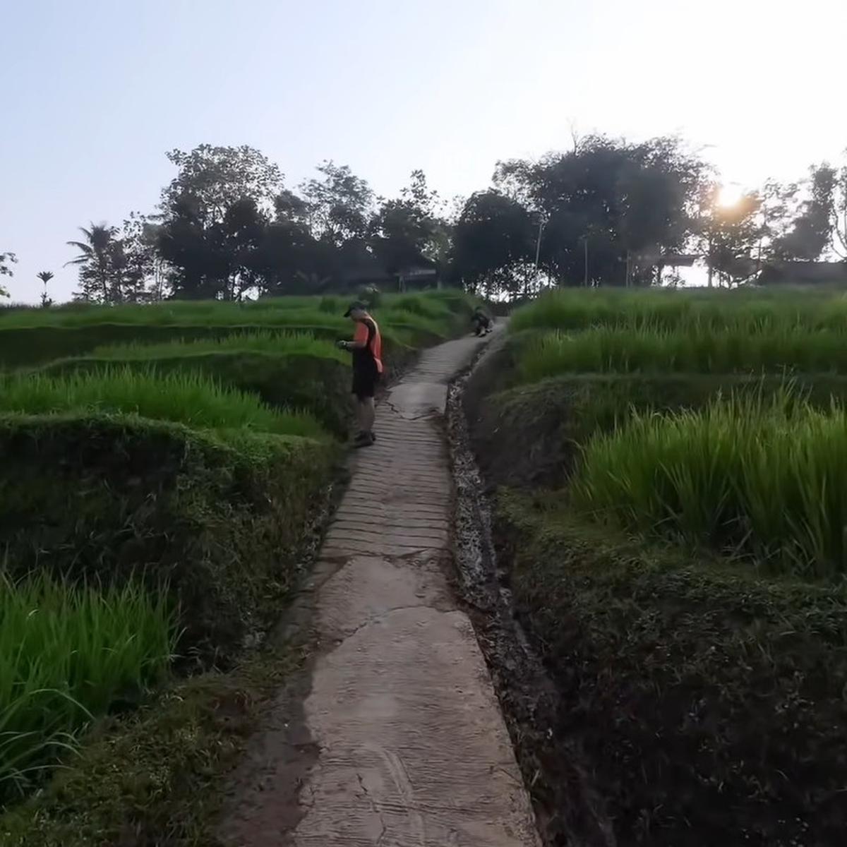 Sawah Cisema Banjaran Wetan