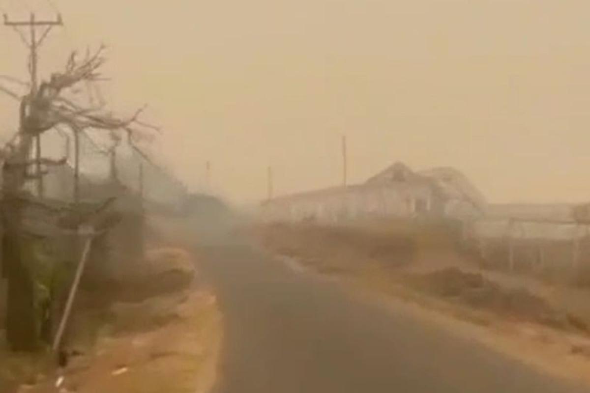 Kebakaran Hutan Papua, Kabut Asap Selimuti Mimika
