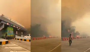 Viral Kabut Asap Kebakaran Hutan Selimuti Tol Lampung