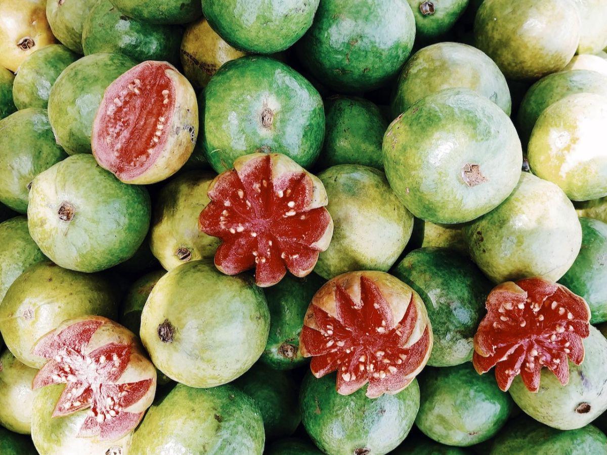 10. Jambu Biji