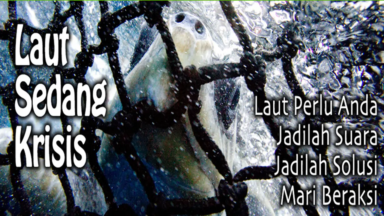 Peduli laut kita