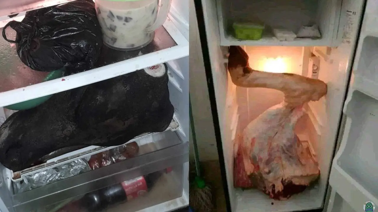 Isi Kulkas Pasca Kurban