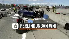 perlindungan WNI
