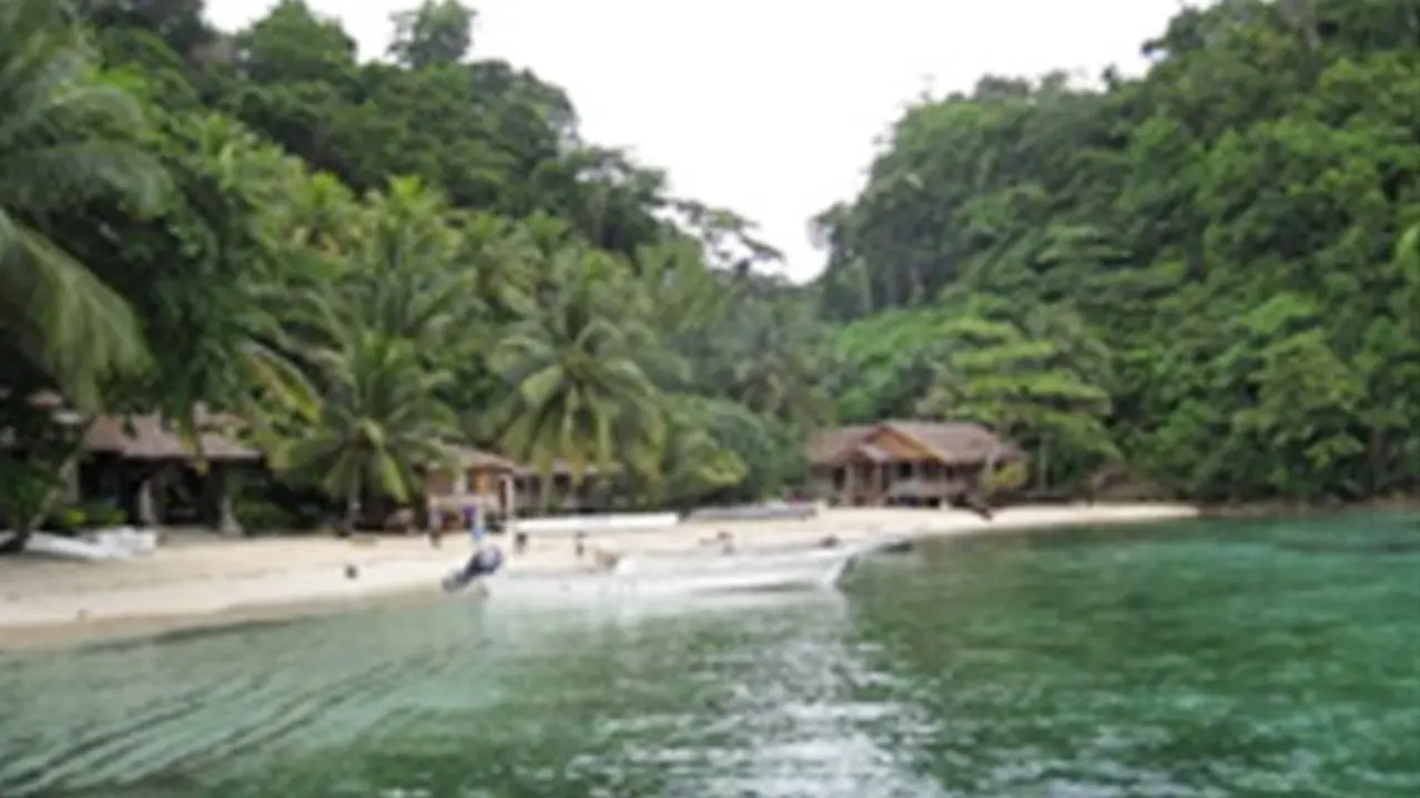 131104cpulau.jpg