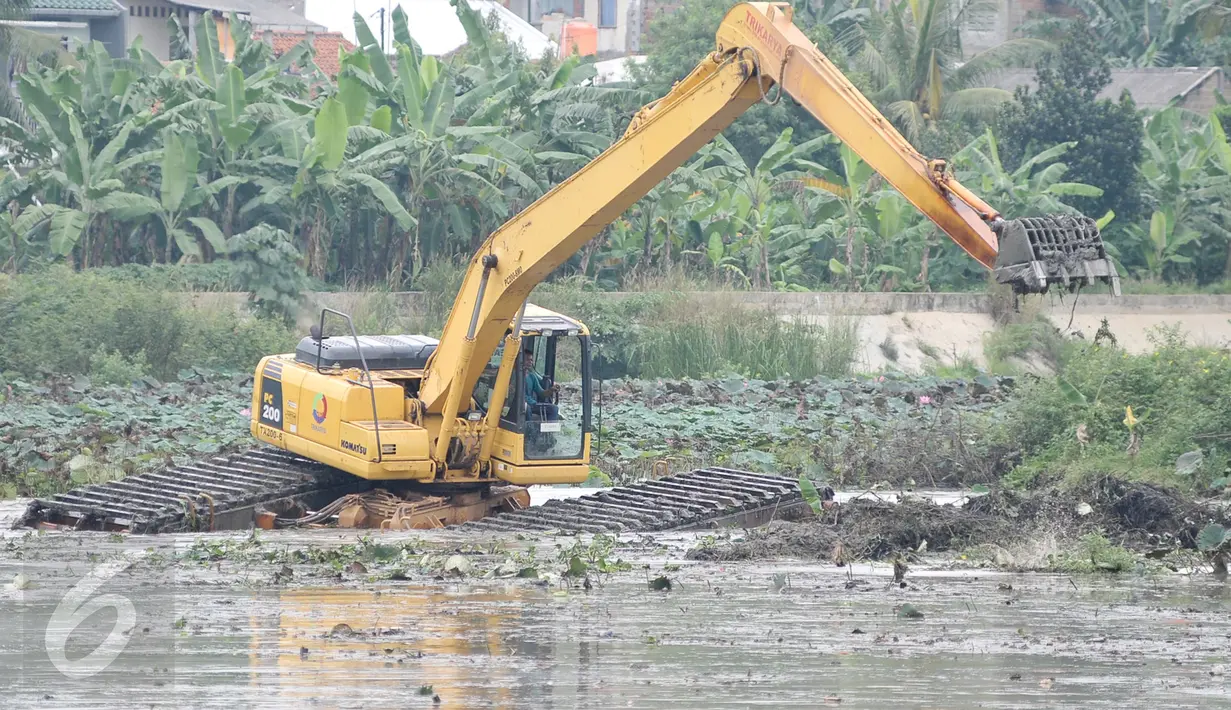 Alat berat melakukan pengerukan lumpur dan teratai liar di Setu Mangga Bolong, Jakarta Selatan, Rabu (30/11). Pengerukan tersebut dilakukan oleh Pemprov DKI guna mencegah pendangkalan Setu Mangga Bolong. (Liputan6.com/Yoppy Renato)