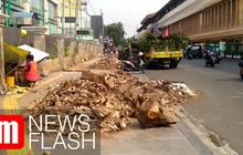 VIDEO: Pohon Angsana di Cikini Ditebang Bikin Panas dan Gersang