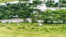 Palang Merah Kenya mengatakan bahwa mereka telah menyelamatkan 61 orang dari kamp-kamp dan pondok-pondok di Maasai Mara melalui jalur darat dan udara. (AP Photo/Bobby Neptune)