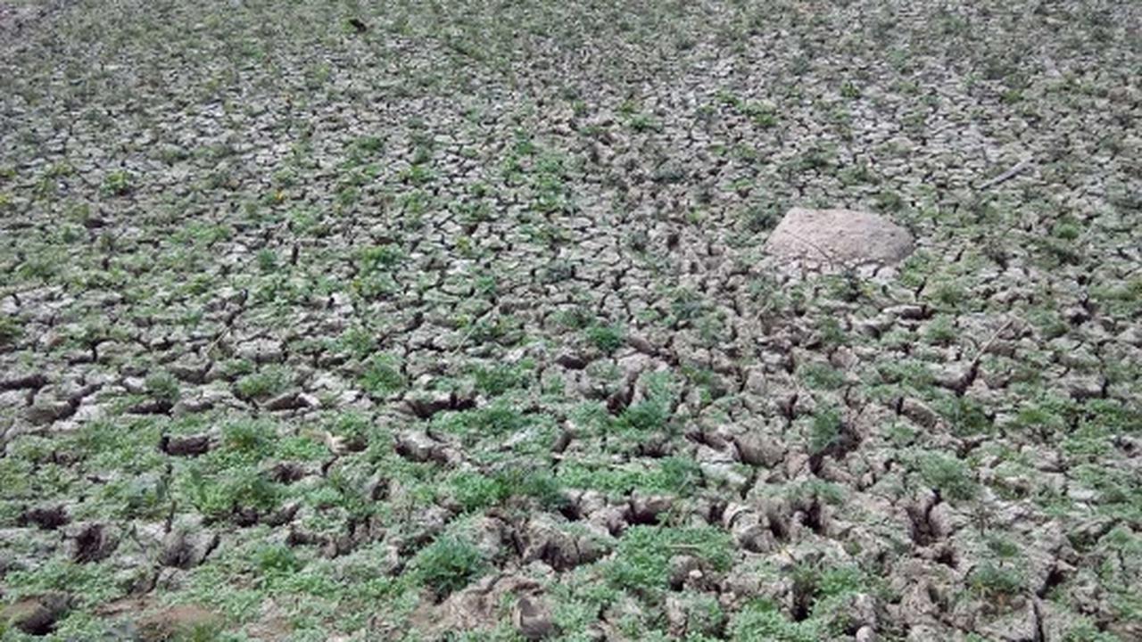 Ini waduk terbesar di Kebumen yang dilanda kekeringan parah