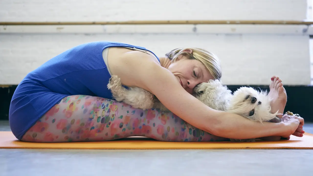 Serunya Berlatih Doga, Yoga dengan Anjing Kesayangan