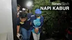 Selama tiga jam mengkonfrontir Anwar dan Ade, sejauh ini, polisi tak menemukan keterangan berbeda antara keduanya.