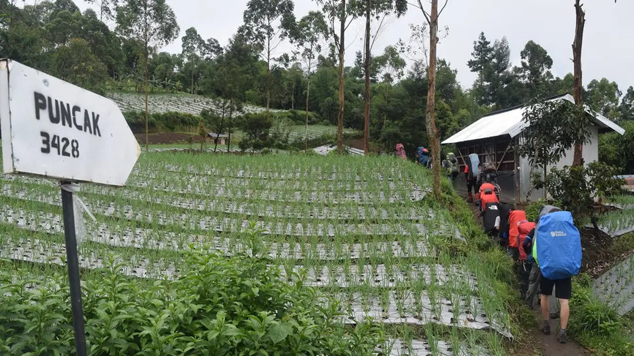 Pendaki Asing Ikut Bersih-Bersih Sampah Gunung Slamet