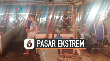 Di tengah merebaknya wabah virus corona, aktivitas perdagangan di Pasar Ekstrem Tomohon yang menjual daging hewan yang tak biasa seperti ular dan kelelawar, masih berjalan seperti biasa.