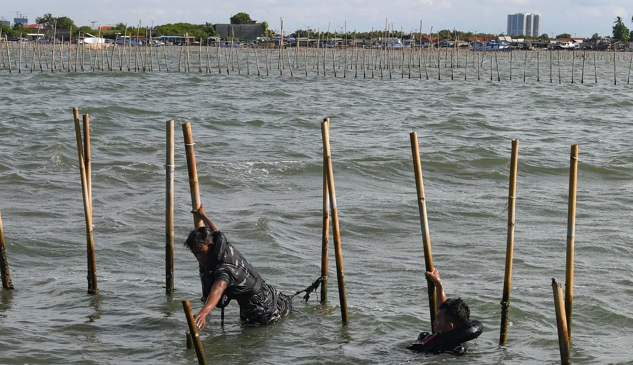 Ombak besar ditambah kedalaman pagar bambu yang mencapai 1,5 meter di bawah dasar laut juga menjadi kendala dalam proses pembongkaran pagar laut tersebut. (merdeka.com/Arie Basuki)