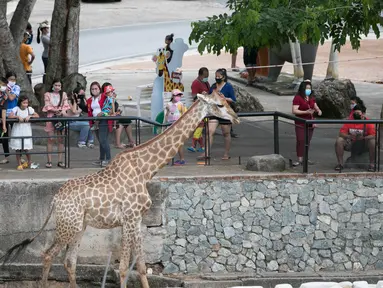 Para wisatawan mengunjungi Khao Kheow Open Zoo di Provinsi Chonburi, Thailand, Selasa (16/6/2020. Enam kebun binatang di Thailand akan kembali dibuka bagi pengunjung secara gratis mulai 15 hingga 30 Juni. (Xinhua/Zhang Keren)