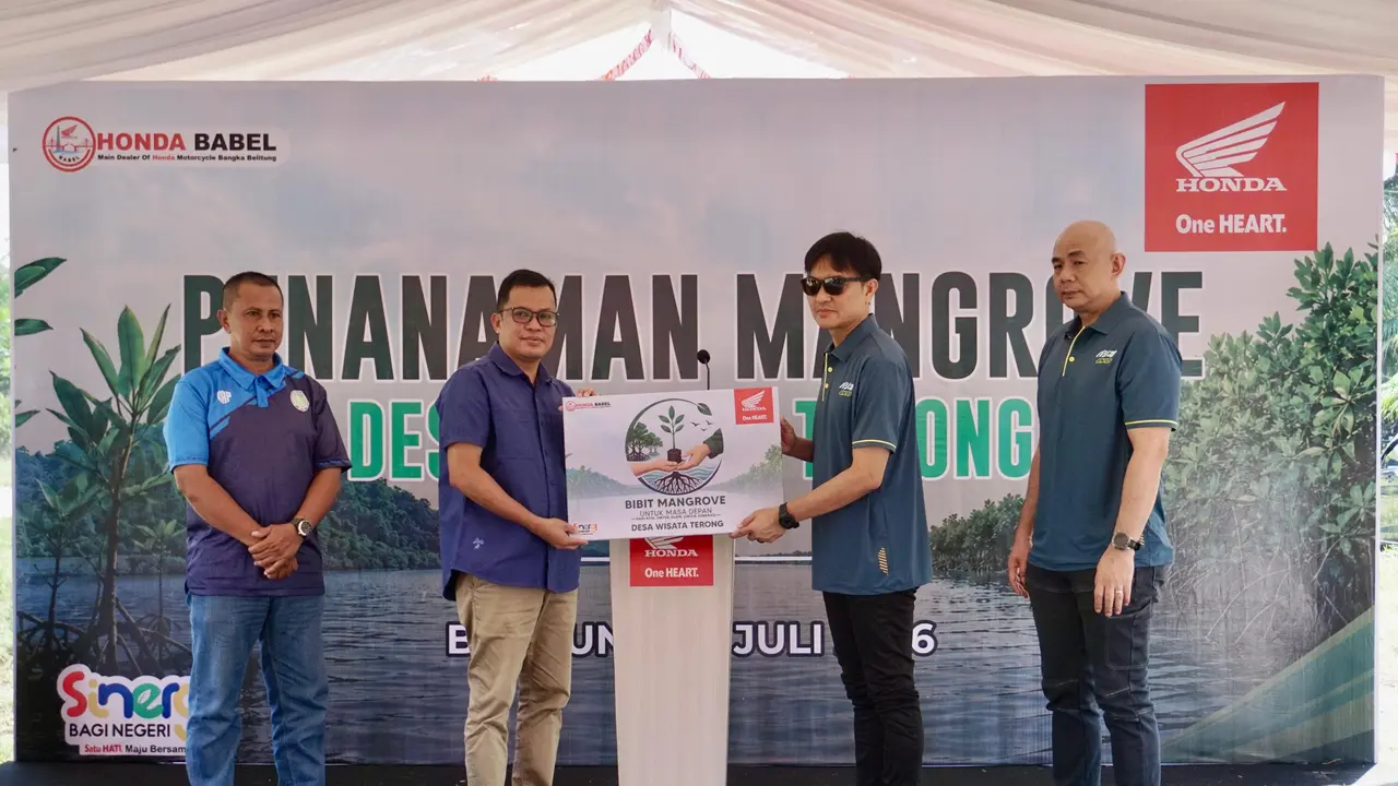 Honda Babel Tanam 500 Mangrove di Desa Terong (ist)
