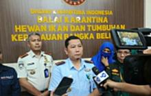 Waspada Virus Nipah: BKK Pangkalpinang Imbau Masyarakat Hindari Kontak Kelelawar