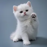 Simak lebih jauh yuk!