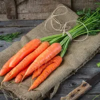 Wortel Bisa Sembuhkan Penyakit Mata, Mitos atau Fakta?