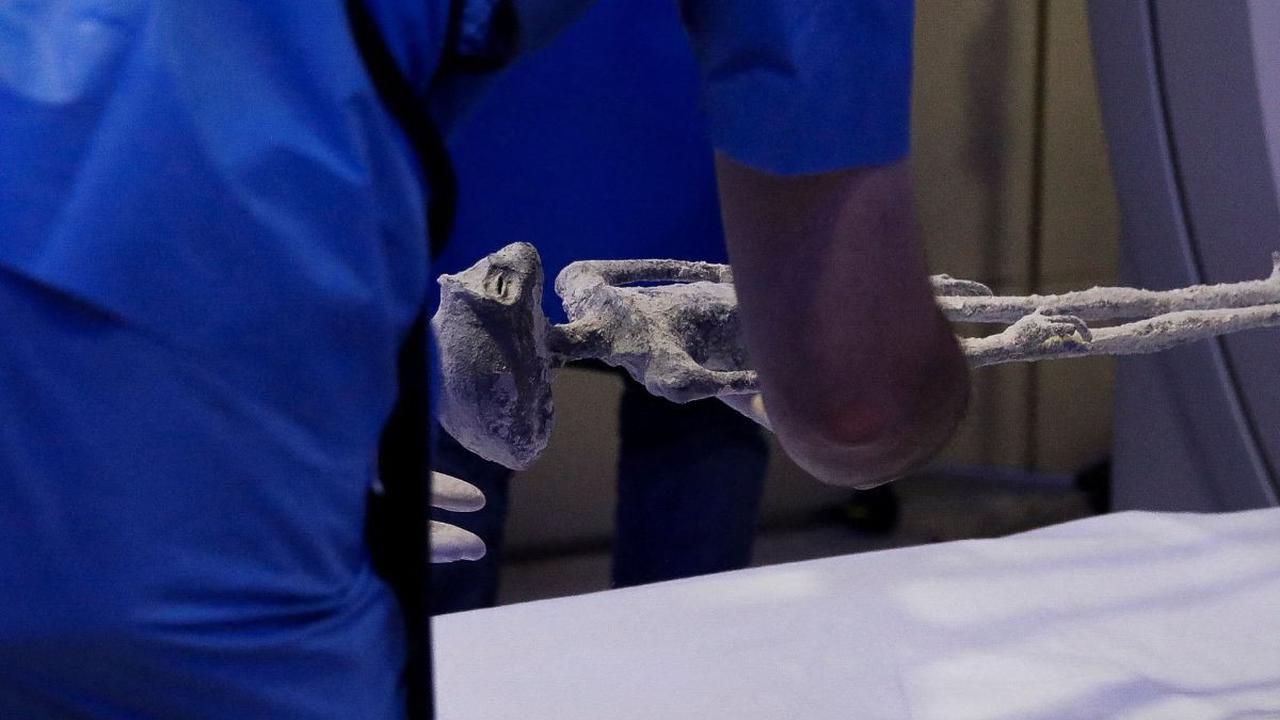 Dari pemeriksaan sebelumnya, menemukan lebih dari 30 persen dari DNA mayat itu tidak diketahui dan kedua mayat itu mengandung implan logam yang langka.