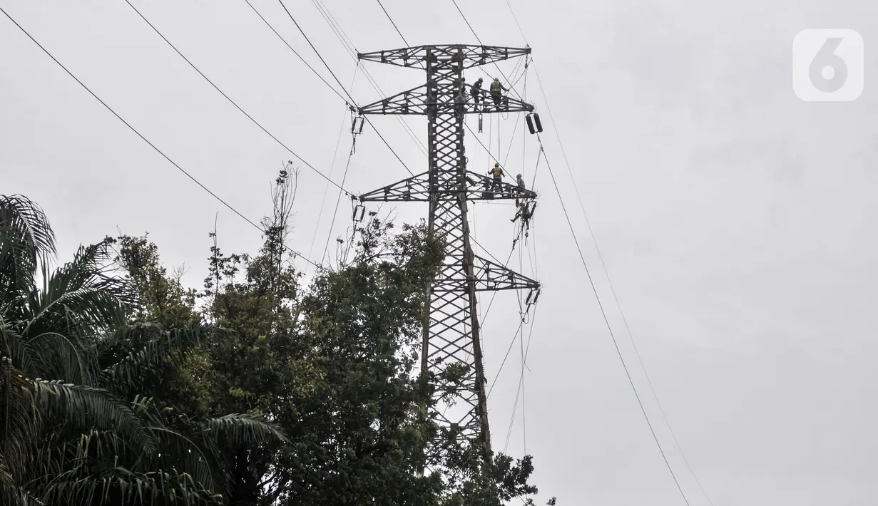 Pekerja menyelesaikan perbaikan menara saluran udara tegangan ekstra tinggi (SUTET) di Jakarta, Rabu (15/2/2023). Para pekerja yang ditugaskan wajib dilengkapi standar alat keselamatan diri karena profesi ini sangat berisiko, bahkan bertaruh nyawa. (merdeka.com/Iqbal S. Nugroho)