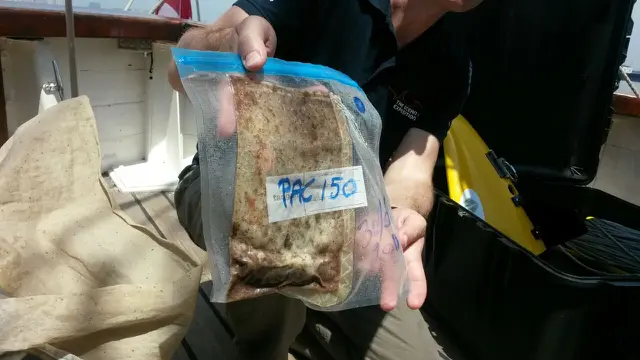 Salah satu sampel residu mikro dan meso plastik yang berhasil dikumpulkan oleh kru kapal riset berbendera Swiss Fleur de Passion (4/4) (Rizki Akbar Hasan/Liputan6.com)