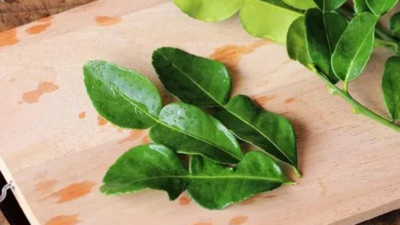 2. Meredakan Nyeri<br>Dengan sifat antiinflamasi, daun jeruk purut membantu meredakan nyeri dan peradangan pada tubuh. Ini bermanfaat untuk penderita arthritis dan fibromyalgia.