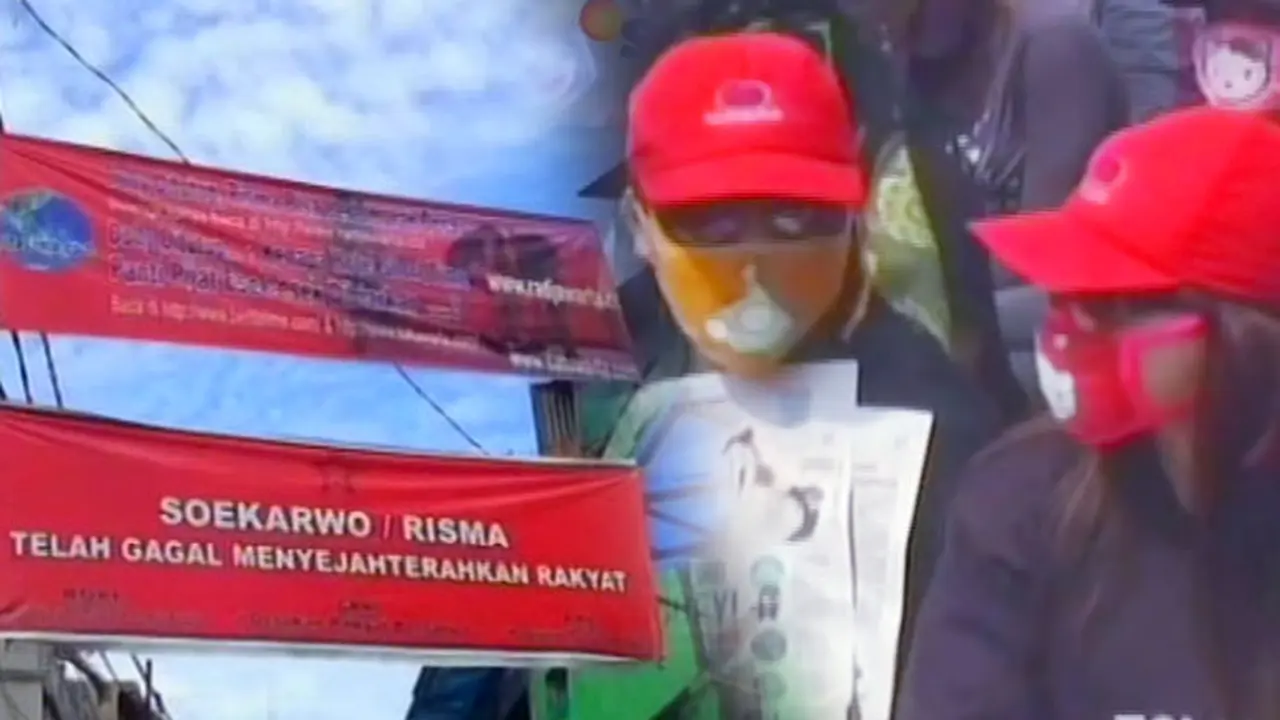 Barometer Penutupan Dolly - Liputan6 Petang