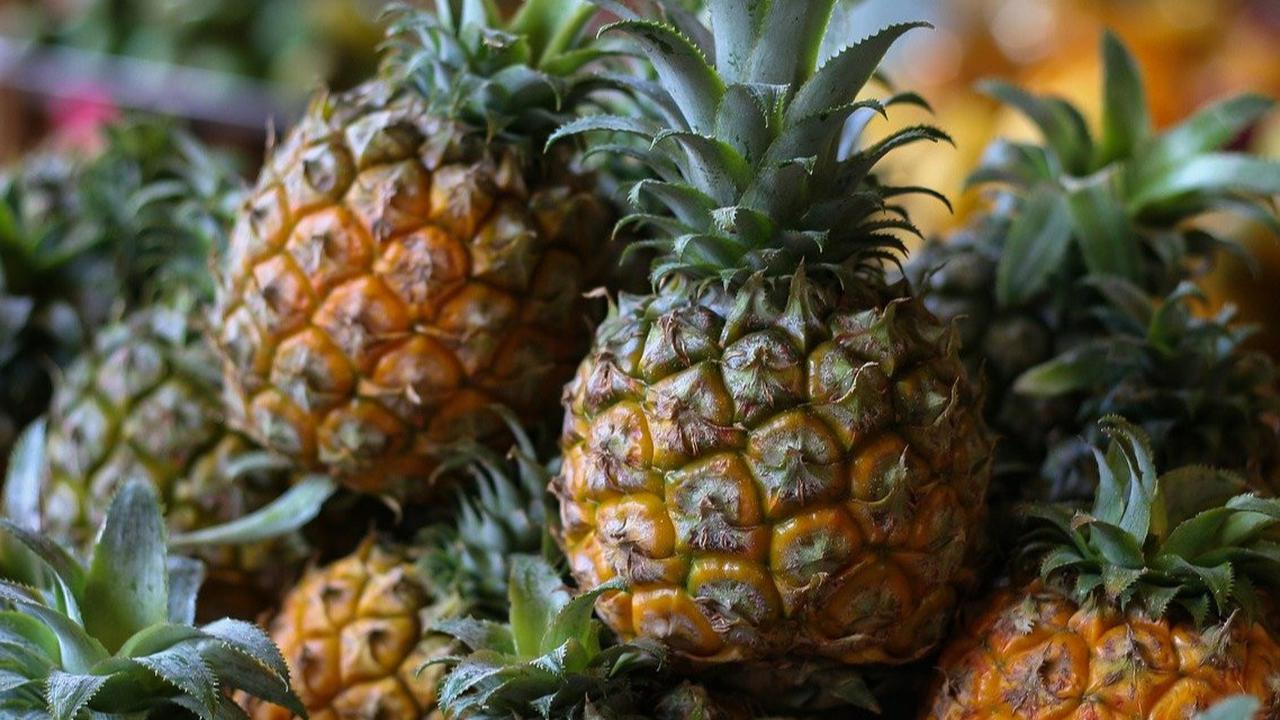 Manfaat Nanas untuk Kolesterol dan Asam Urat, Cocok Dikonsumsi Usai Menyantap Aneka Makanan Setelah  Hari Lebaran