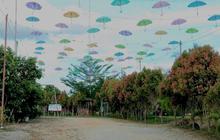 Mengunjungi Agrowisata Nadiin, Cocok untuk Liburan Sembari Belajar Varietas Buah