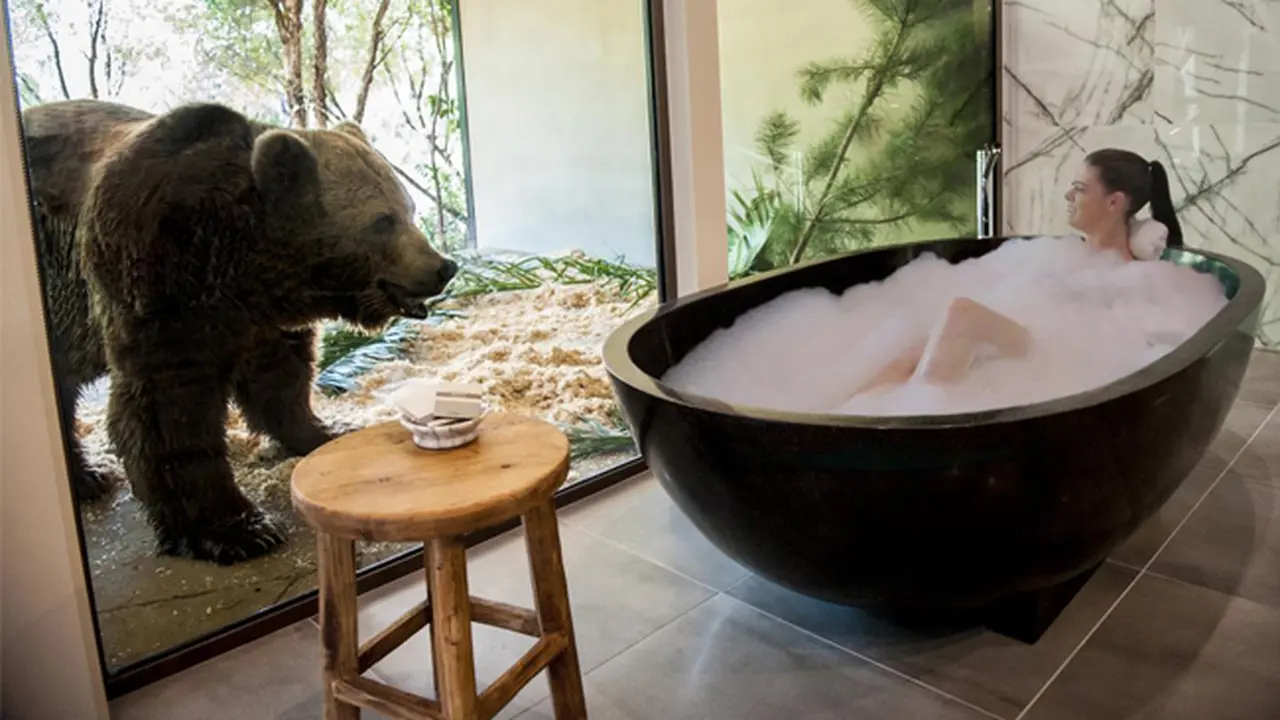 Di Hotel Ini Kamu Bisa Menyatu dengan Satwa Liar, Tertarik?