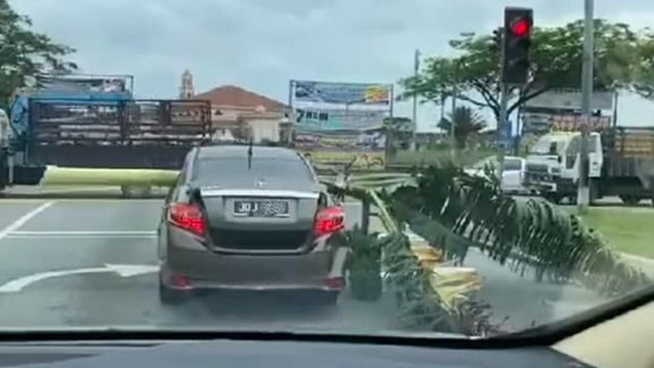 Sedan angkut pohon pisang