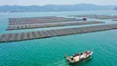 Foto udara menunjukkan kapal berlayar di kawasan budi daya kerang abalon, Lianjiang, Provinsi Fujian, China, 14 Juli 2020. Industri budi daya abalon di Lianjiang ditingkatkan dan dikembangkan melalui pengenalan platform budi daya laut dalam dan inovasi beragam keterampilan. (Xinhua/Jiang Kehong)