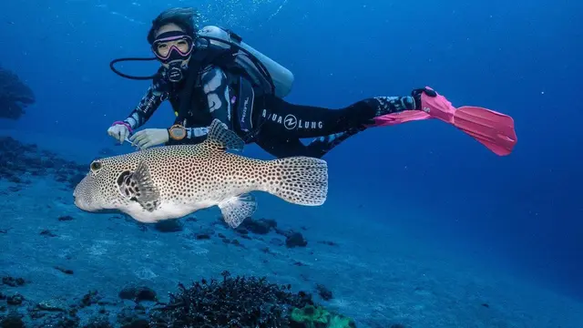 Hobi Baru, Ini 6 Potret Seru Gisella Anastasia saat Diving