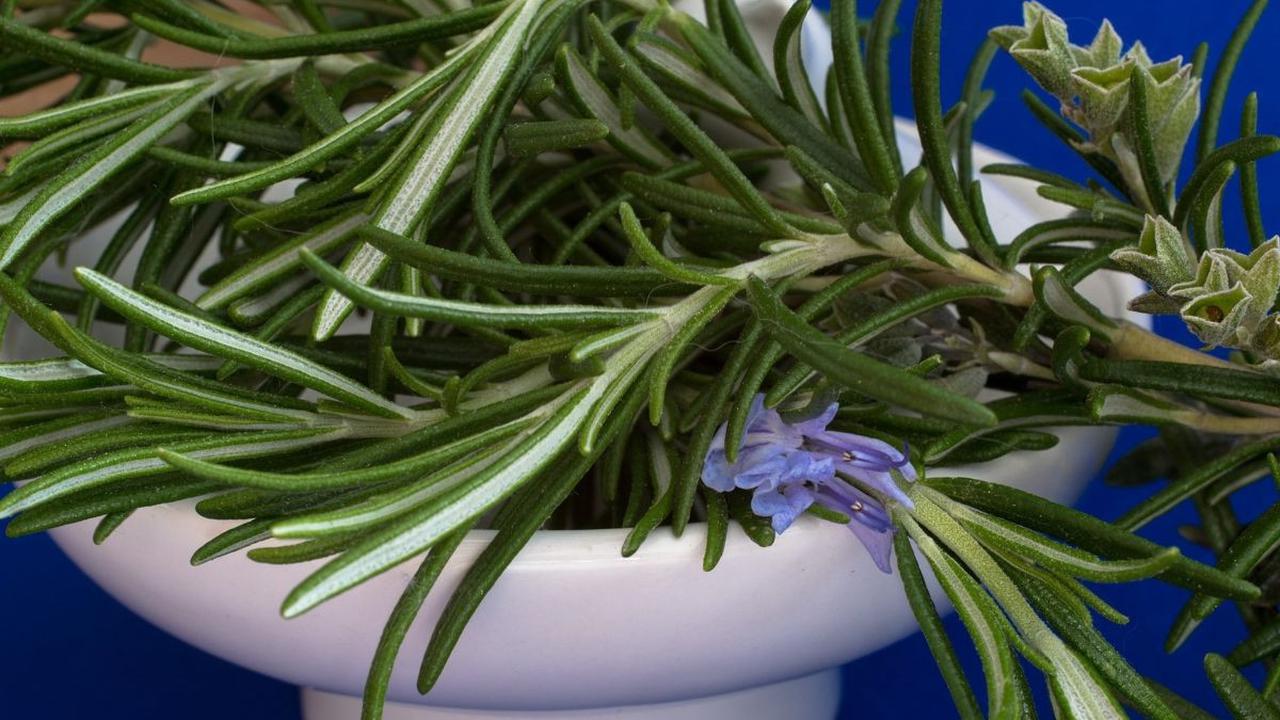 <b>5. Rosemary</b>