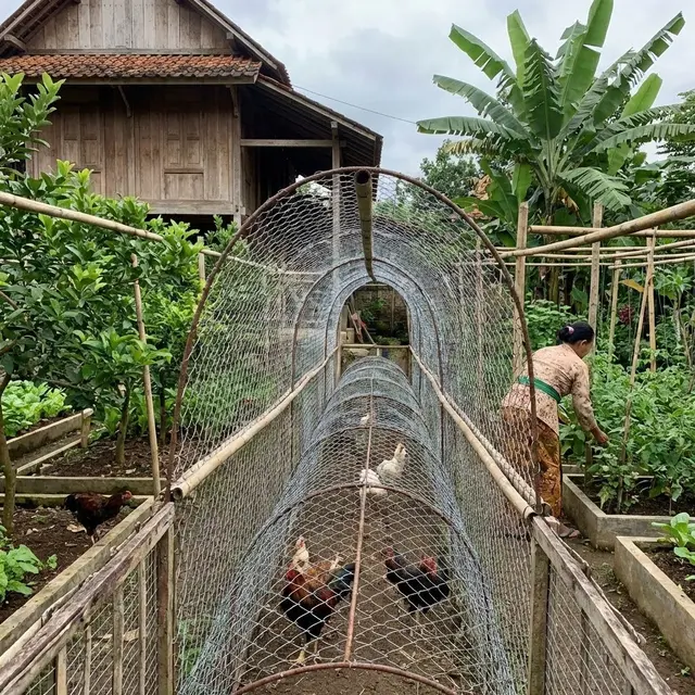 Kandang kawat Terowongan